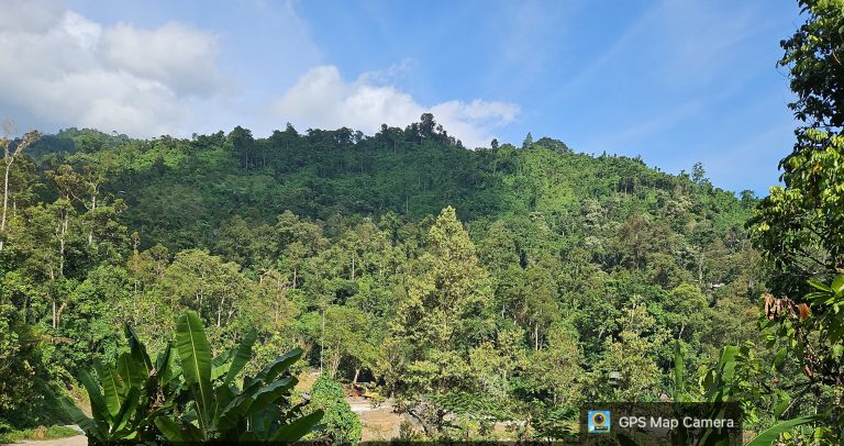 20260323_31758PMByGPSMapCamera